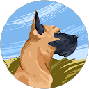 Frank Taboadela profile picture