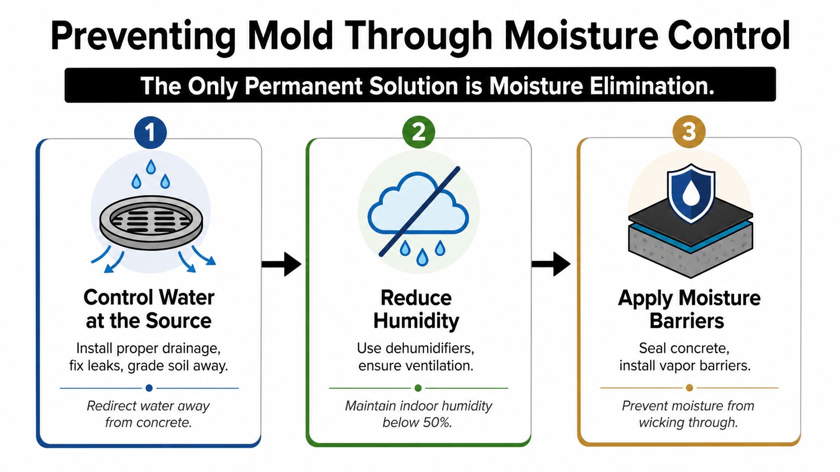 An infographic detailing three essential steps for preventing mold through effective moisture control and management.