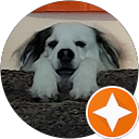 Sunkist O profile picture