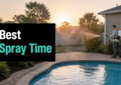 best-time-to-spray-for-mosquitoes-pest-control