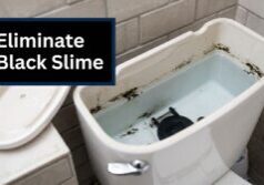 black-inside-toilet-tank-toilet-cleaning