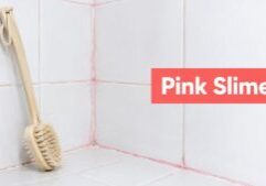 pink-slime-in-shower-shower-brush